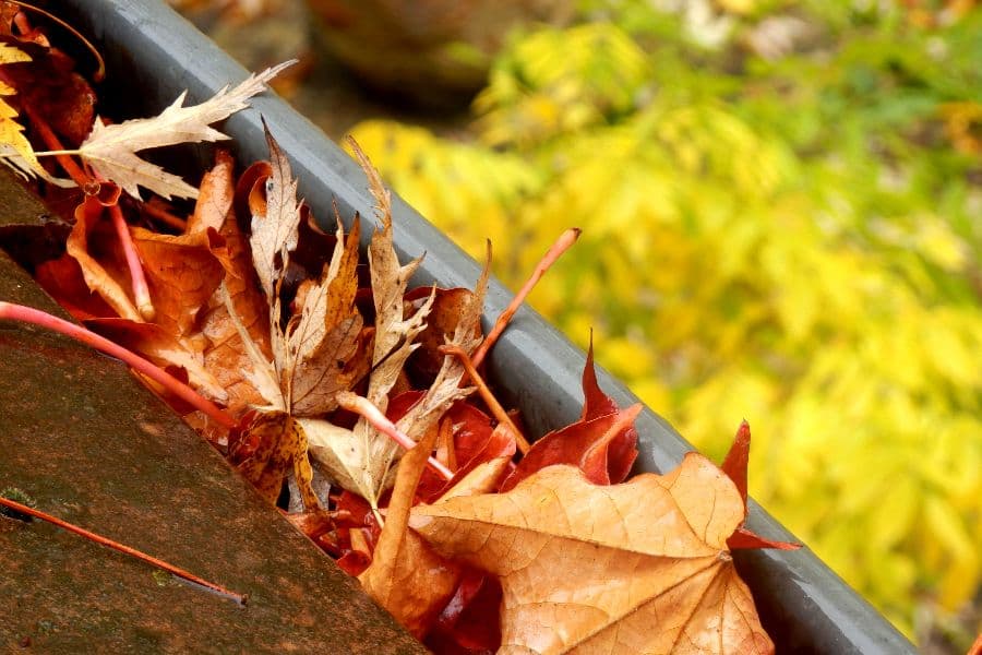 Gutter clearance and cleaning Wolverhampton